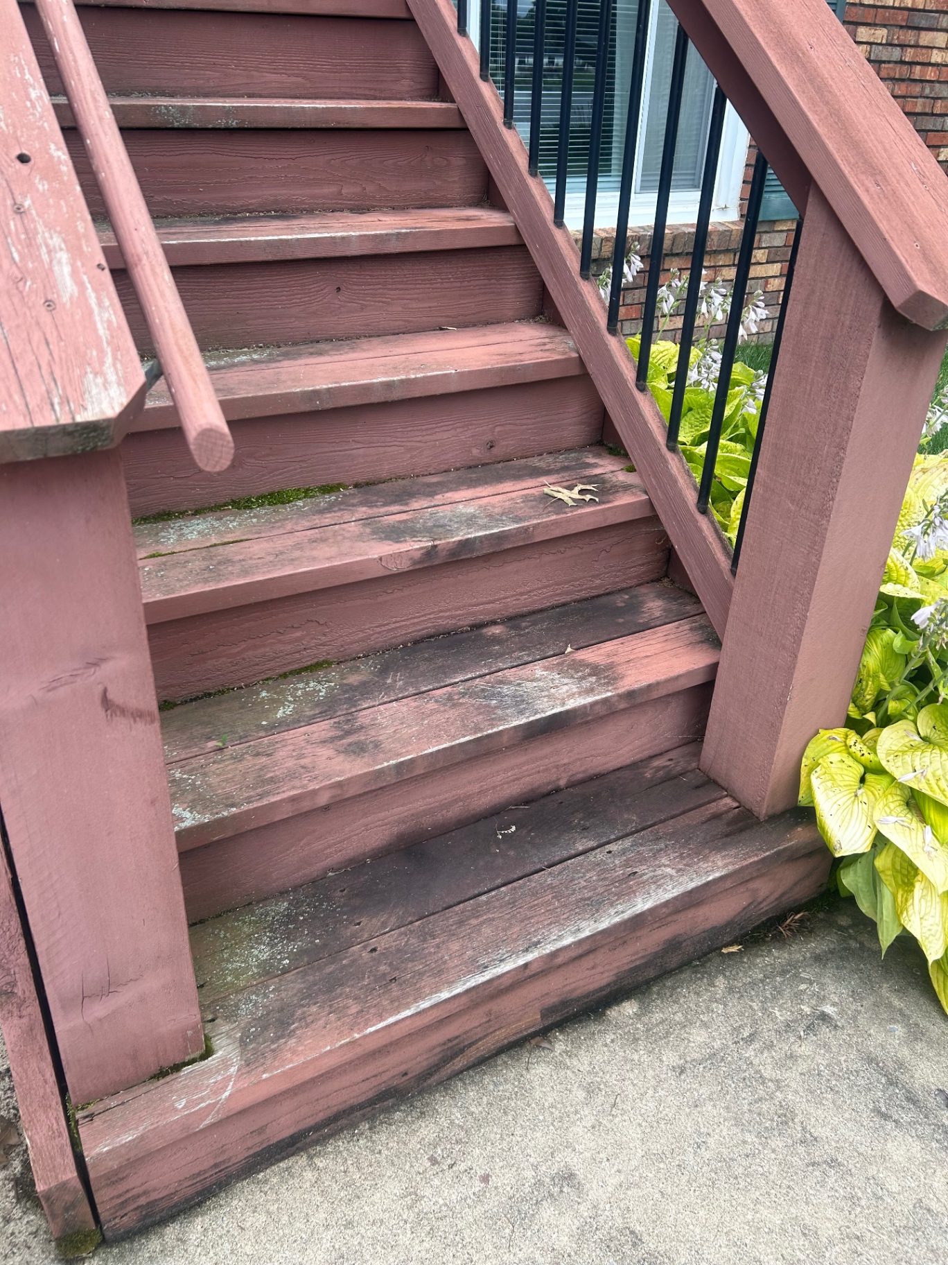 Wood Steps Soft Wash — before cleaning