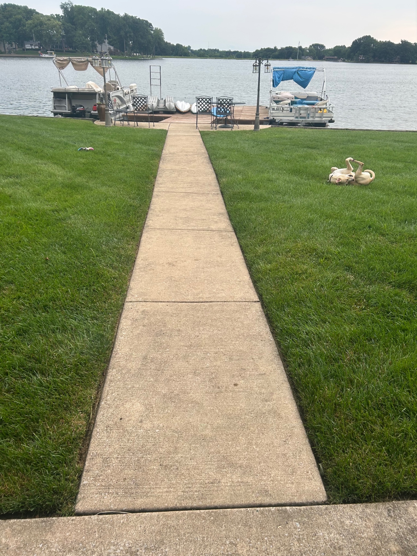 Concrete Walkway Cleaning — before cleaning