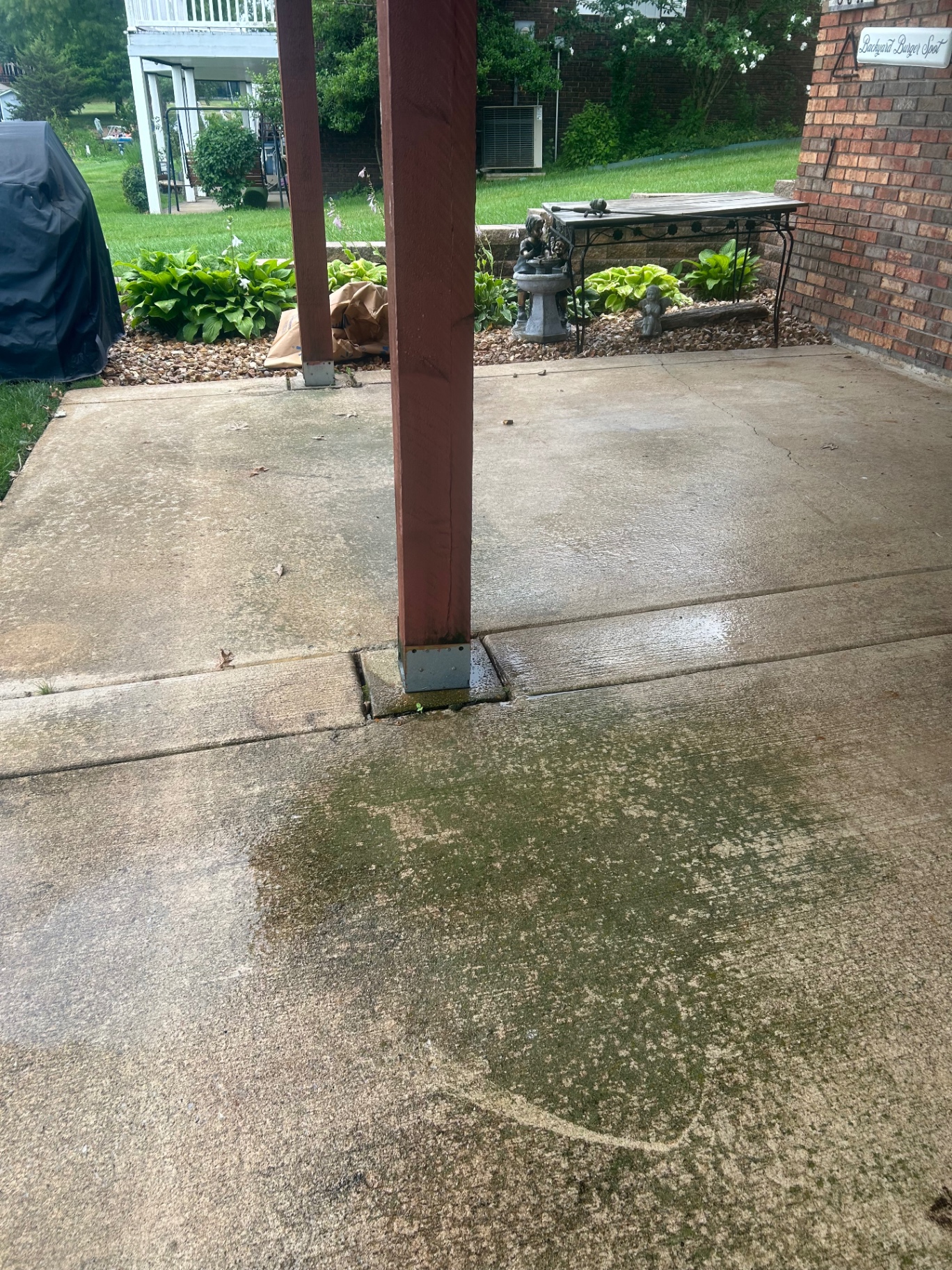 Algae & Mildew Removal — before cleaning