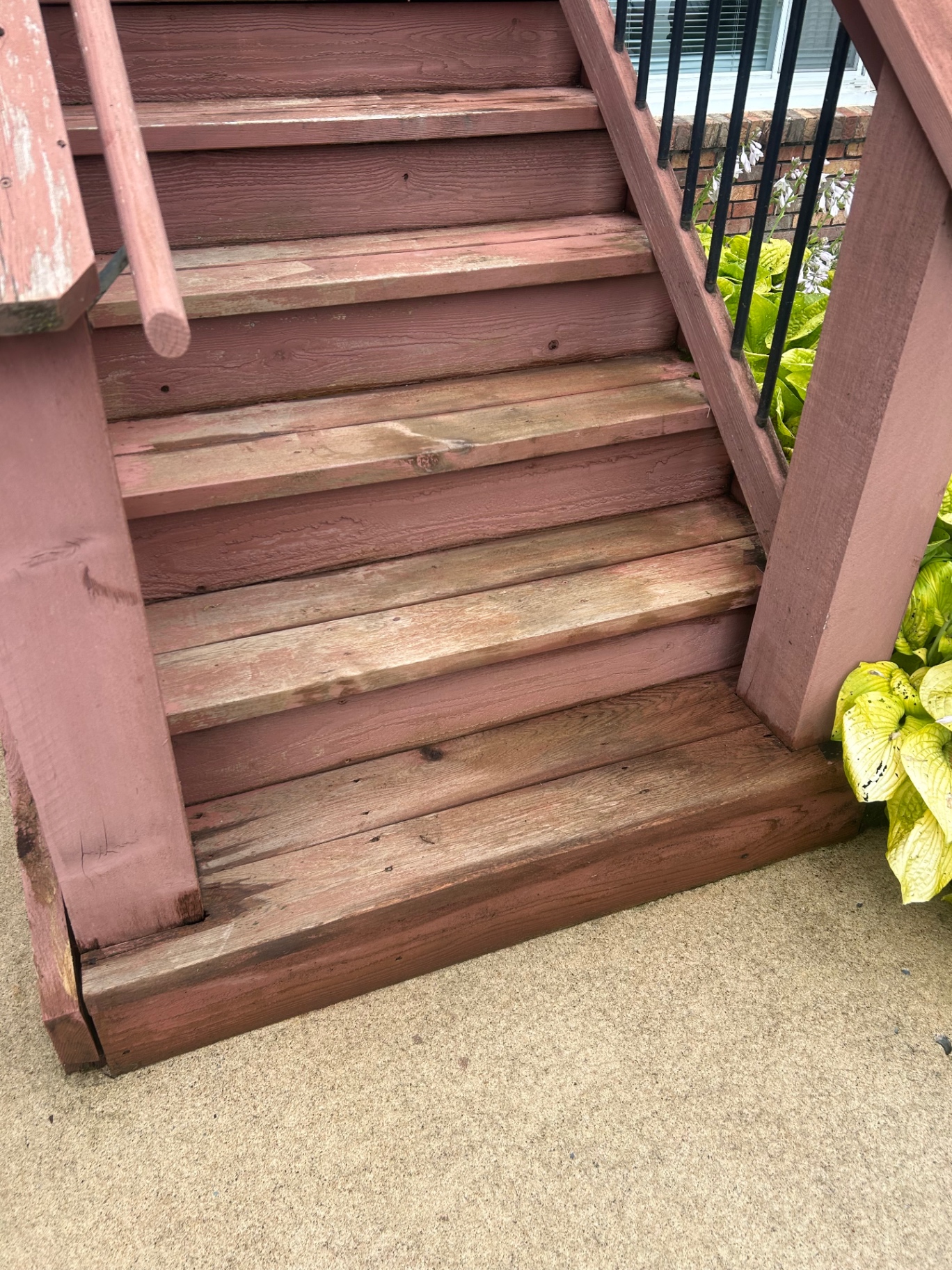 Fence, Deck & Pool Decks
